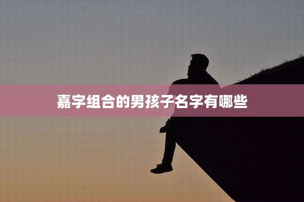 嘉字组合的男孩子名字有哪些