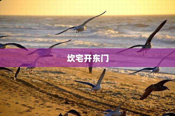 坎宅开东门