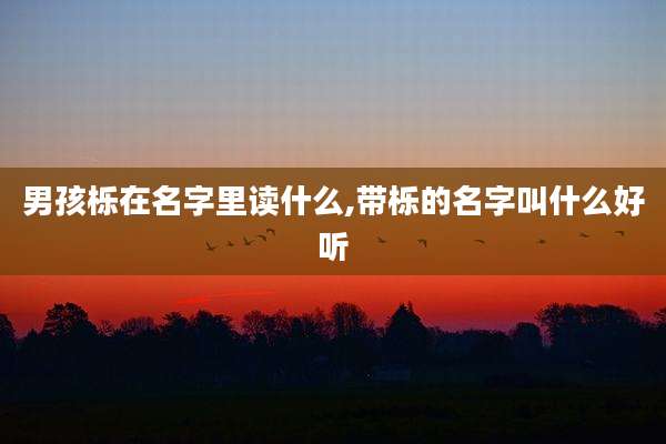男孩栎在名字里读什么,带栎的名字叫什么好听