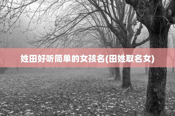 姓田好听简单的女孩名(田姓取名女)