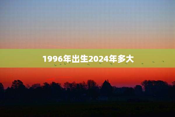 1996年出生2024年多大