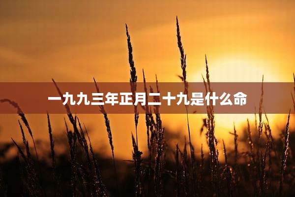 一九九三年正月二十九是什么命