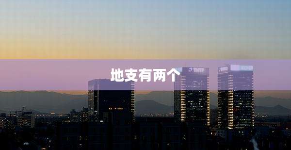 地支有两个