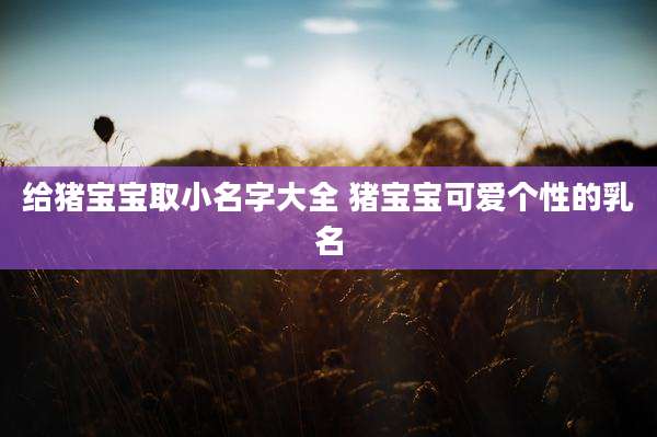 给猪宝宝取小名字大全 猪宝宝可爱个性的乳名