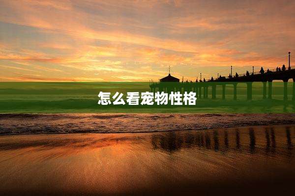 怎么看宠物性格