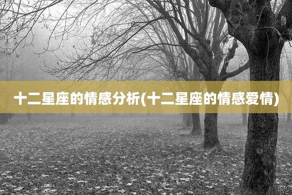 十二星座的情感分析(十二星座的情感爱情)