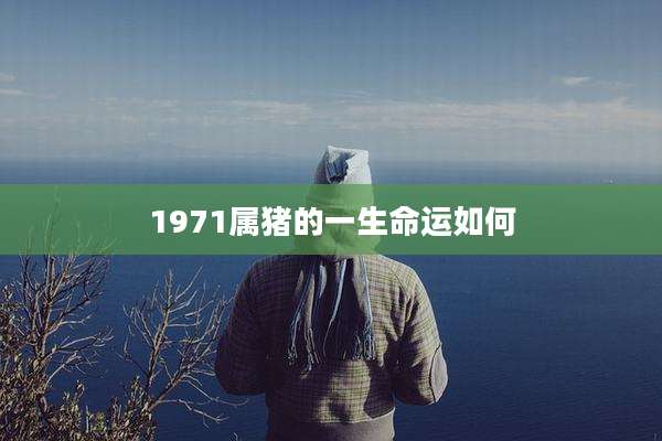 1971属猪的一生命运如何