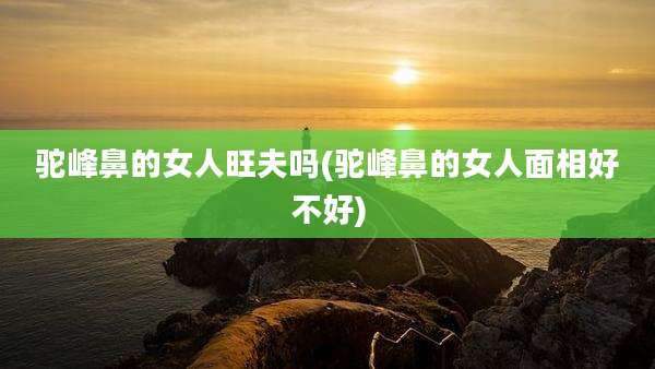 驼峰鼻的女人旺夫吗(驼峰鼻的女人面相好不好)
