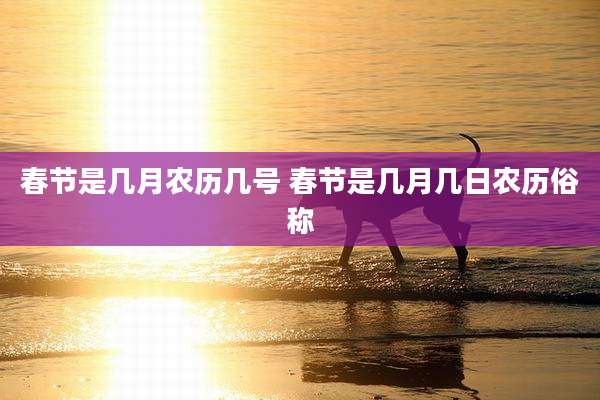 春节是几月农历几号 春节是几月几日农历俗称