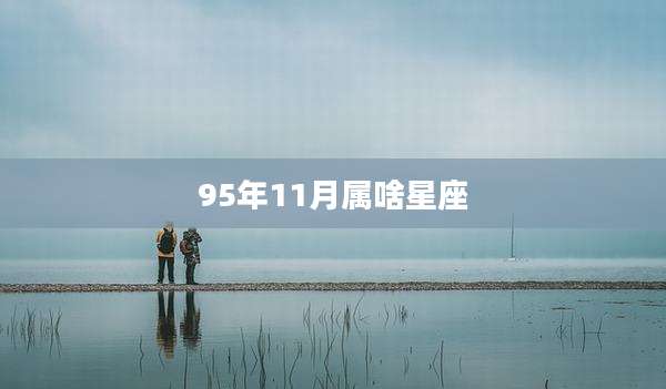 95年11月属啥星座