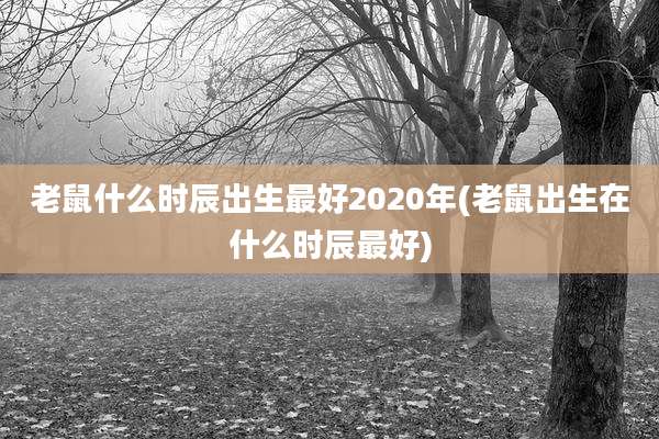 老鼠什么时辰出生最好2020年(老鼠出生在什么时辰最好)