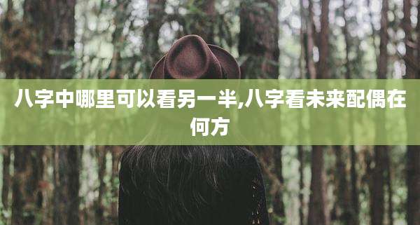 八字中哪里可以看另一半,八字看未来配偶在何方