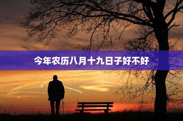 今年农历八月十九日子好不好