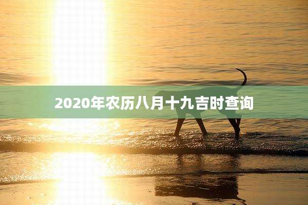 2020年农历八月十九吉时查询