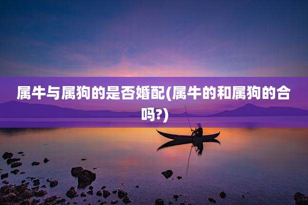 属牛与属狗的是否婚配(属牛的和属狗的合吗?)