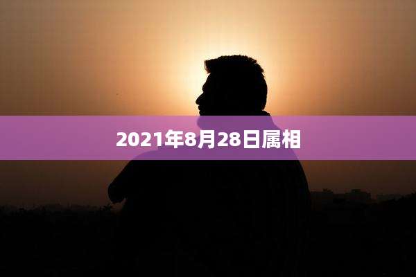 2021年8月28日属相