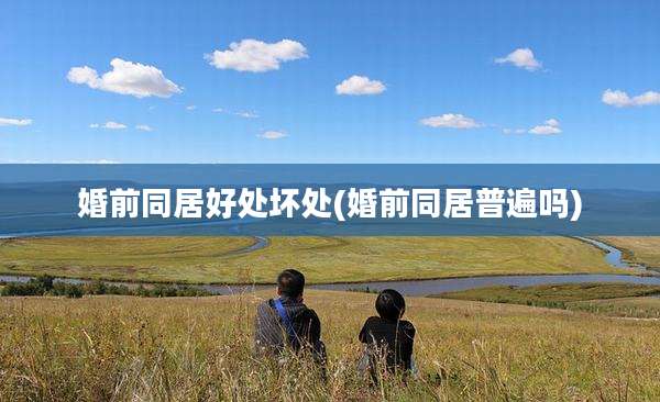 婚前同居好处坏处(婚前同居普遍吗)
