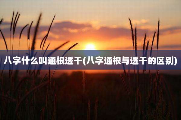 八字什么叫通根透干(八字通根与透干的区别)