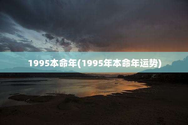 1995本命年(1995年本命年运势)