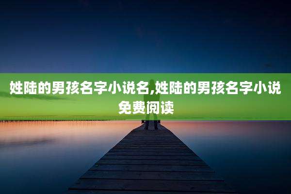 姓陆的男孩名字小说名,姓陆的男孩名字小说免费阅读