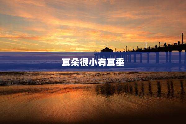 耳朵很小有耳垂