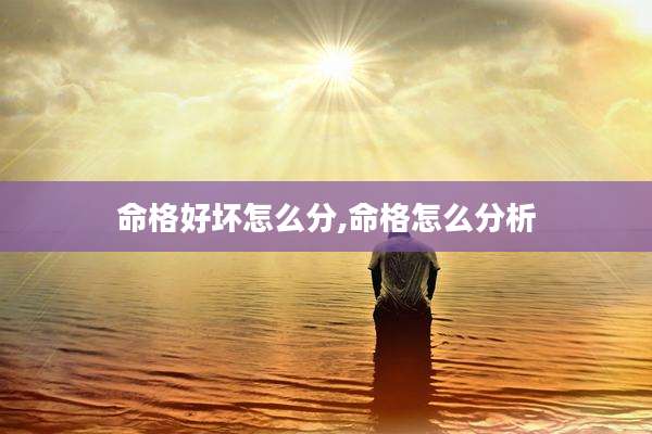 命格好坏怎么分,命格怎么分析