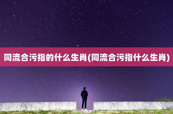 同流合污指的什么生肖(同流合污指什么生肖)
