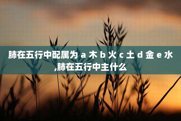 肺在五行中配属为 a 木 b 火 c 土 d 金 e 水,肺在五行中主什么