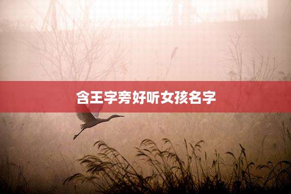 含王字旁好听女孩名字