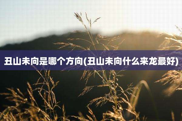 丑山未向是哪个方向(丑山未向什么来龙最好)