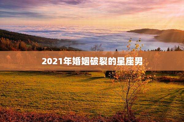 2021年婚姻破裂的星座男