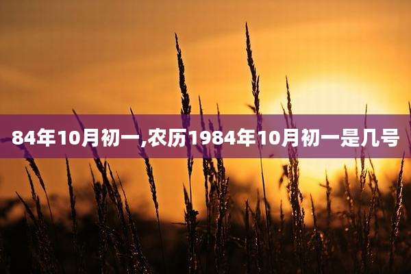 84年10月初一,农历1984年10月初一是几号