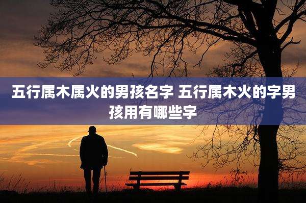 五行属木属火的男孩名字 五行属木火的字男孩用有哪些字