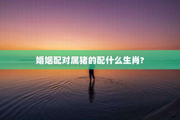 婚姻配对属猪的配什么生肖?