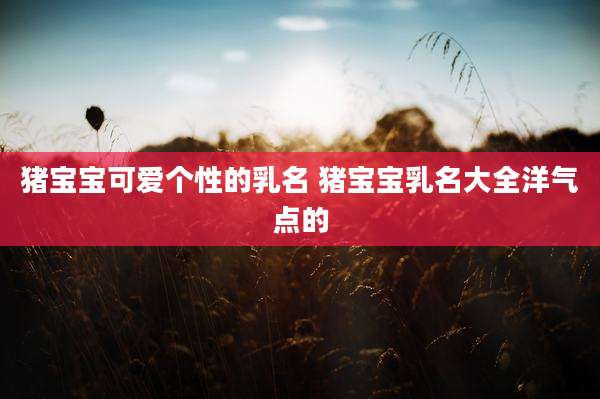 猪宝宝可爱个性的乳名 猪宝宝乳名大全洋气点的