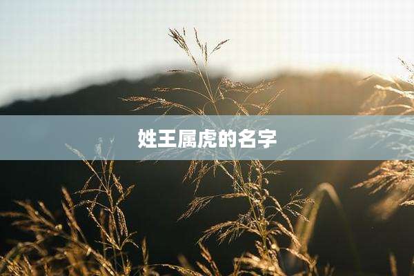 姓王属虎的名字