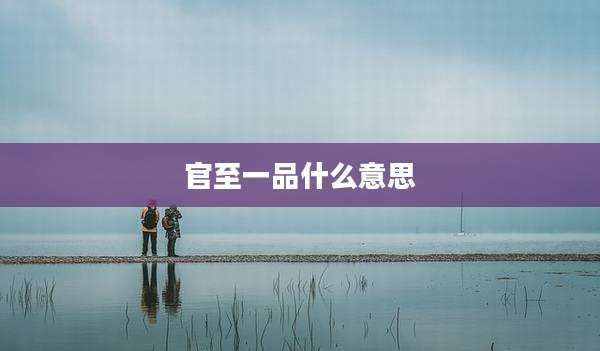 官至一品什么意思