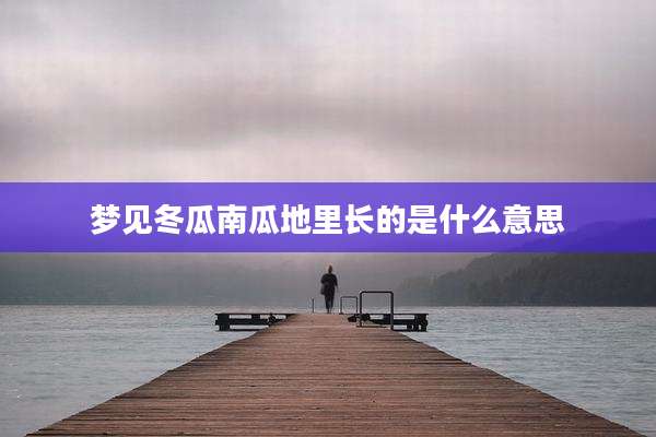 梦见冬瓜南瓜地里长的是什么意思