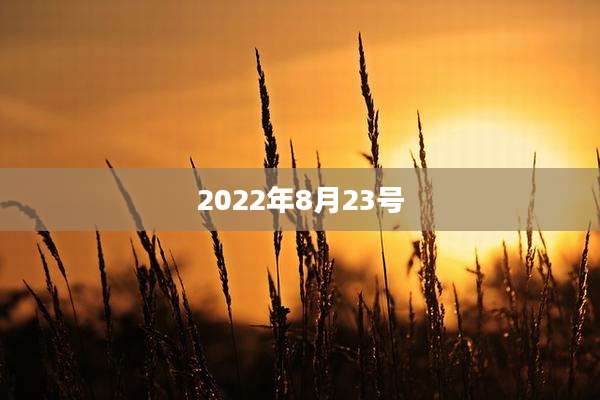 2022年8月23号