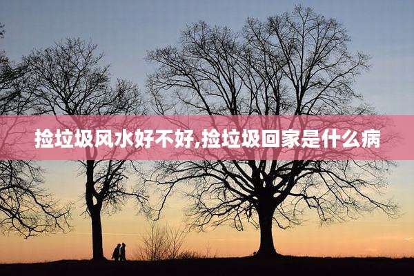 捡垃圾风水好不好,捡垃圾回家是什么病