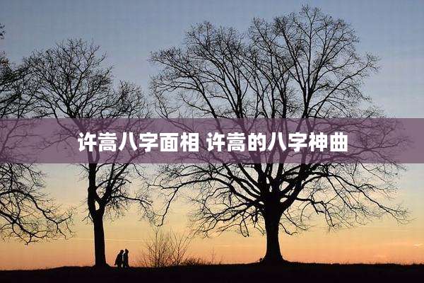 许嵩八字面相 许嵩的八字神曲