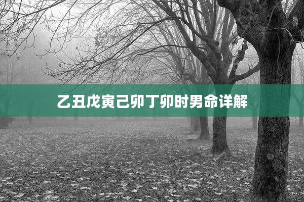 乙丑戊寅己卯丁卯时男命详解