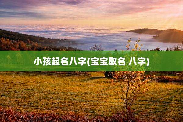 小孩起名八字(宝宝取名 八字)