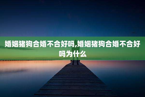 婚姻猪狗合婚不合好吗,婚姻猪狗合婚不合好吗为什么