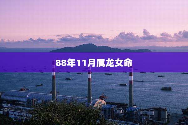 88年11月属龙女命