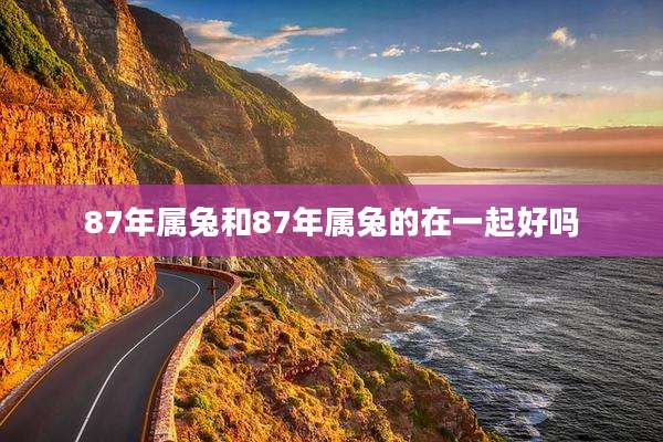 87年属兔和87年属兔的在一起好吗