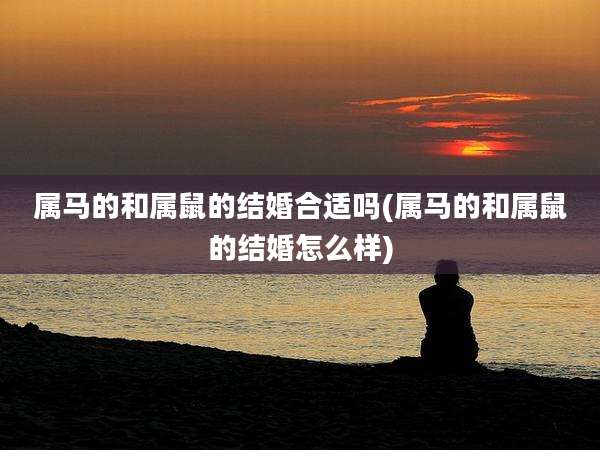 属马的和属鼠的结婚合适吗(属马的和属鼠的结婚怎么样)