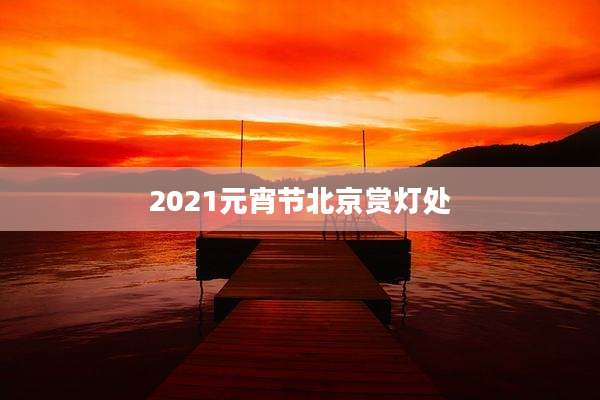 2021元宵节北京赏灯处