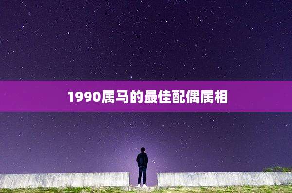 1990属马的最佳配偶属相