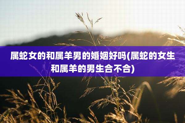 属蛇女的和属羊男的婚姻好吗(属蛇的女生和属羊的男生合不合)